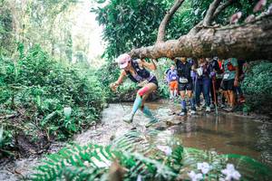 BIB: 
                            <button type="button" onclick="openModal(25471959)" class="btn btn-primary btn-sm float-right btn-popup" data-toggle="modal" data-target=".modal-high-quality">
                        <i class="fas fa-shopping-cart"></i> Add to Cart
                    </button>
                                            <button type="button" onclick="isThisMe(25471959, true)" class="btn btn-success btn-sm float-right btn-popup btn-isme hidden" data-toggle="tooltip" data-placement="bottom" title="นี่คือรูปของคุณใช่ไหม คลิกที่นี่เพื่อเอาเข้าอัลบั้ม">
                        <i class="fas fa-plus"></i> Add to album
                    </button>
                    <button type="button" onclick="isThisMe(25471959, false)" class="btn btn-warning btn-sm float-right btn-popup btn-isnotme hidden">
                        <i class="fas fa-ban"></i> Remove from album
                    </button>